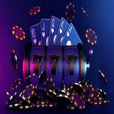 toto4d Dragon Hatch
